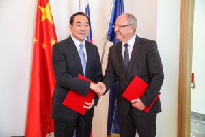 IMG_6601a - Kopija - Kopija